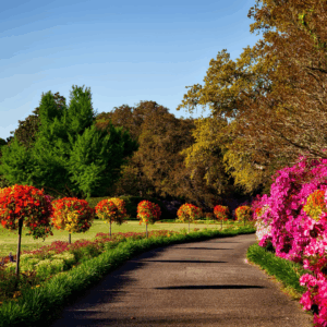Irrigation Solutions: How to maintain your system throughout the year?