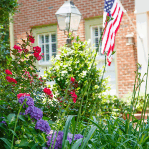 Sustainable Irrigation Systems: A smart way to conserve water